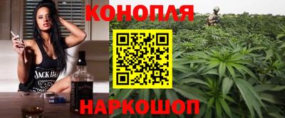 стаф Донской