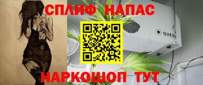 прущие крисы Дубна