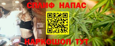 стаф Донской
