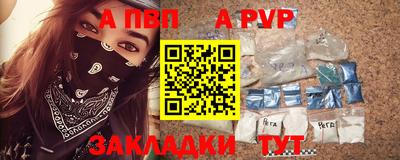стаф Донской